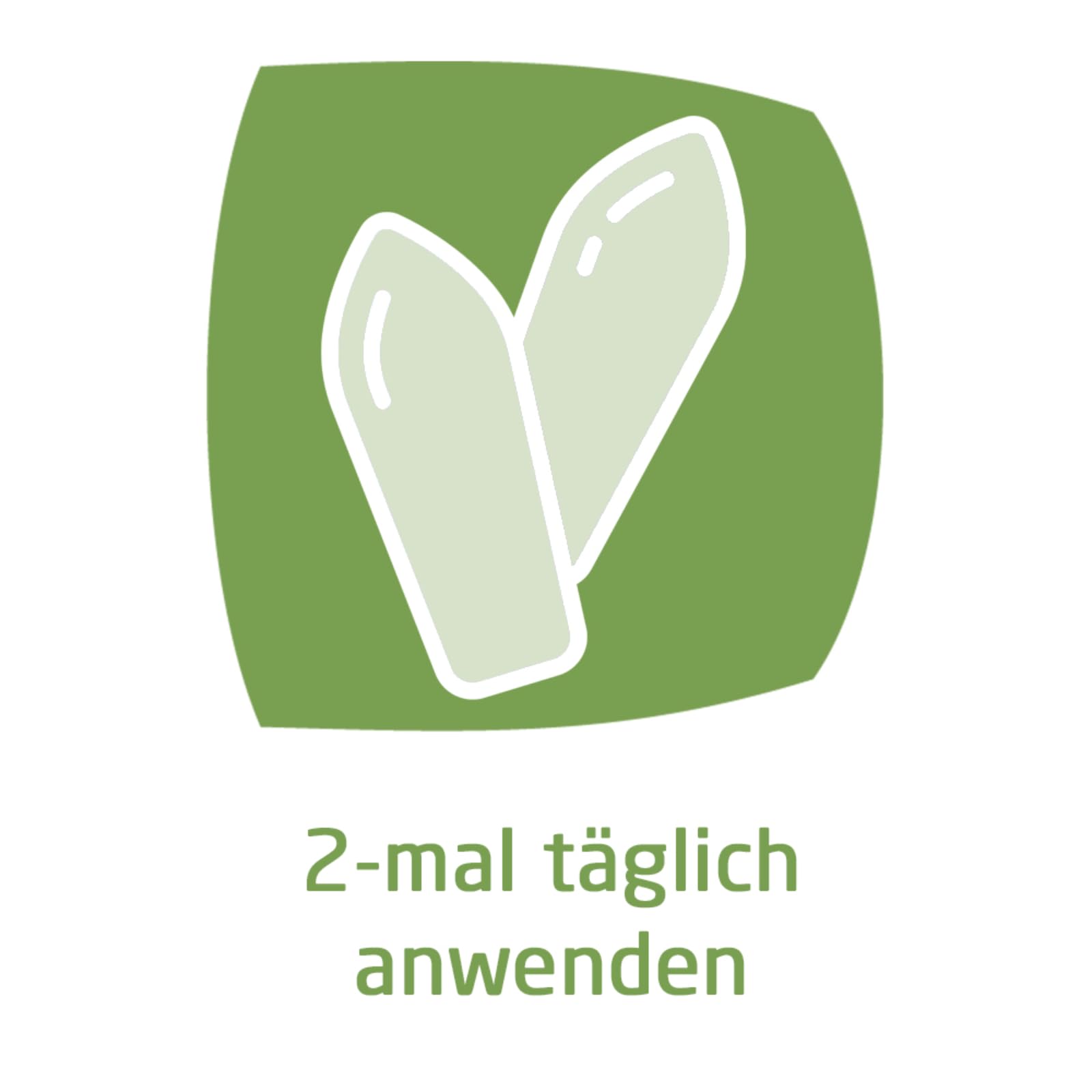 weleda-h-morrhoidalz-pfchen-mit-zaubernuss-10-st-pflanzliche-z-pfchen-mit-hamame image 6