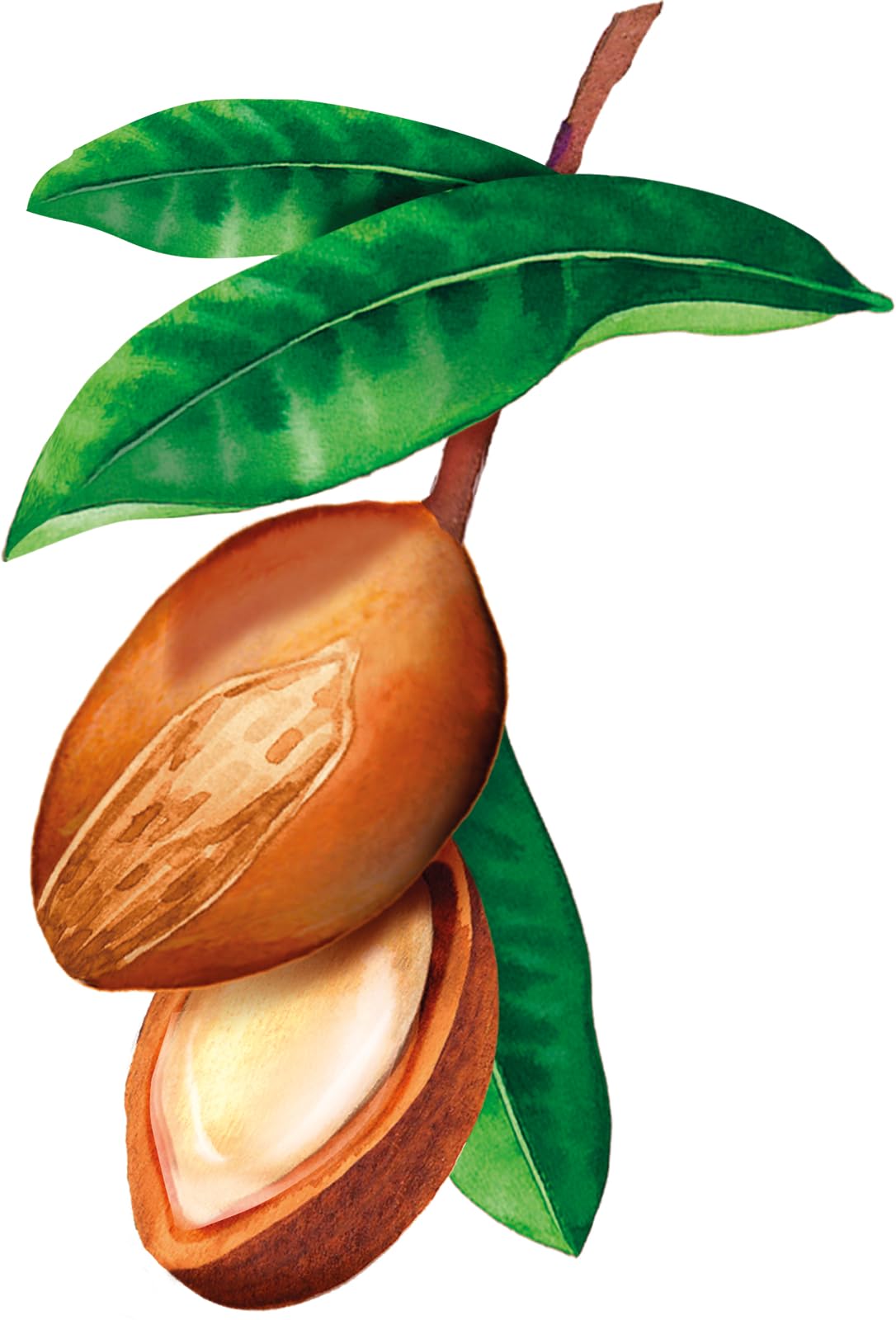 weleda-bio-festes-shampoo-reparatur-pflege-50-g-veganes-festshampoo-mit-bio-shea image 6