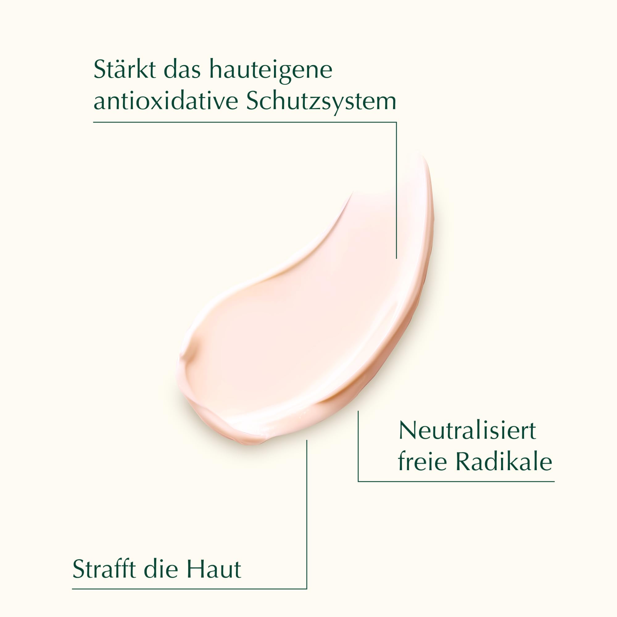 weleda-cell-longevity-ultra-protect-lift-advanced-day-cream-tagescreme-mit-nad-b image 4