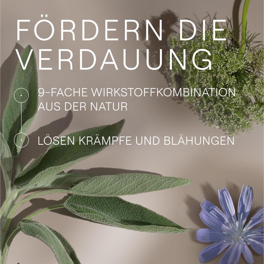 weleda-amara-tropfen-bitterstoff-komplex-aus-9-heilpflanzen-mit-l-wenzahn-bei-ma image 4