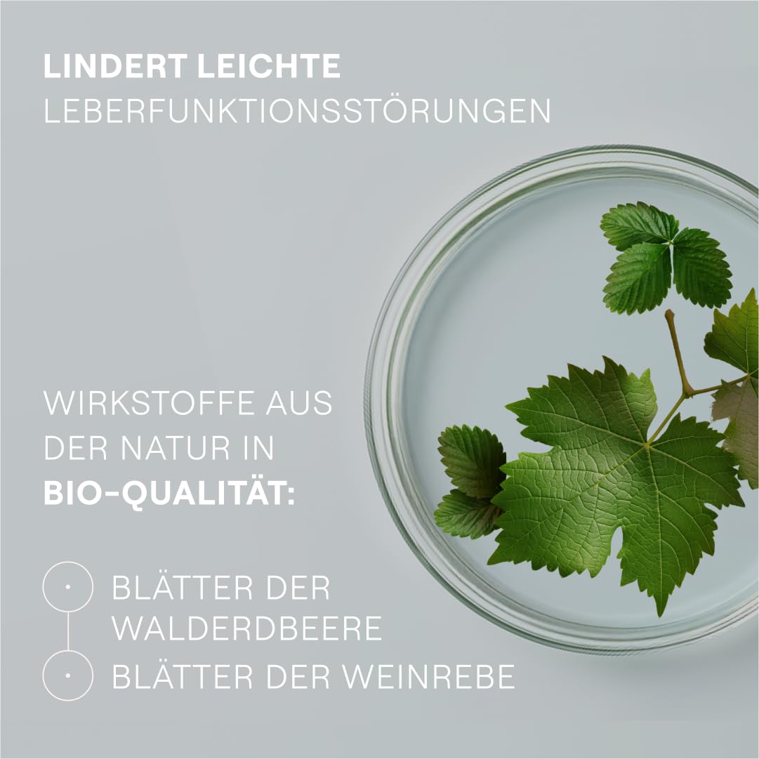 weleda-hepatodoron-200-tabletten-pflanzlicher-leber-komplex-mit-erdbeerblatt-wei image 6