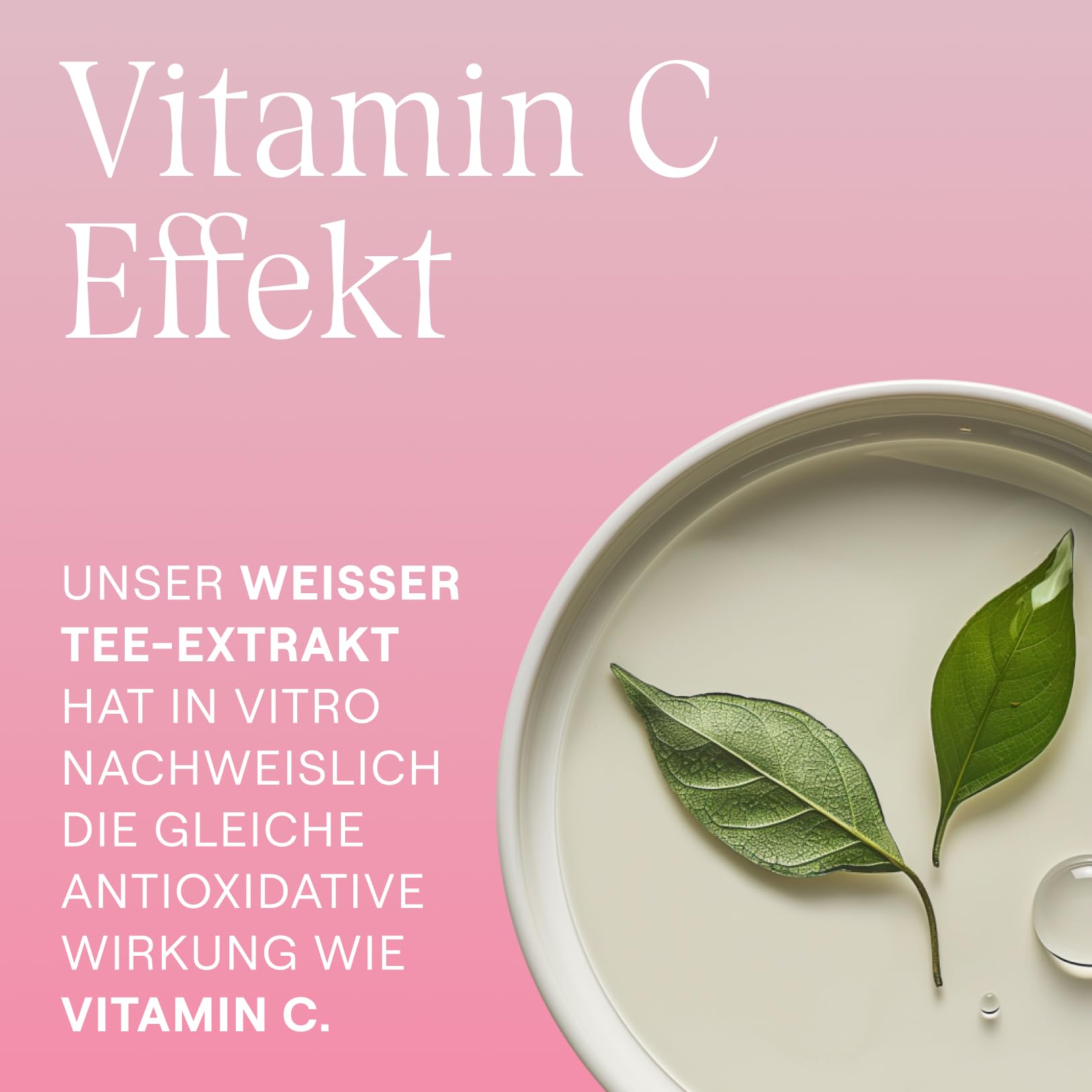 weleda-bio-gl-ttende-augenpflege-wildrose-wei-er-tee-12-ml-vegane-naturkosmetik- image 5