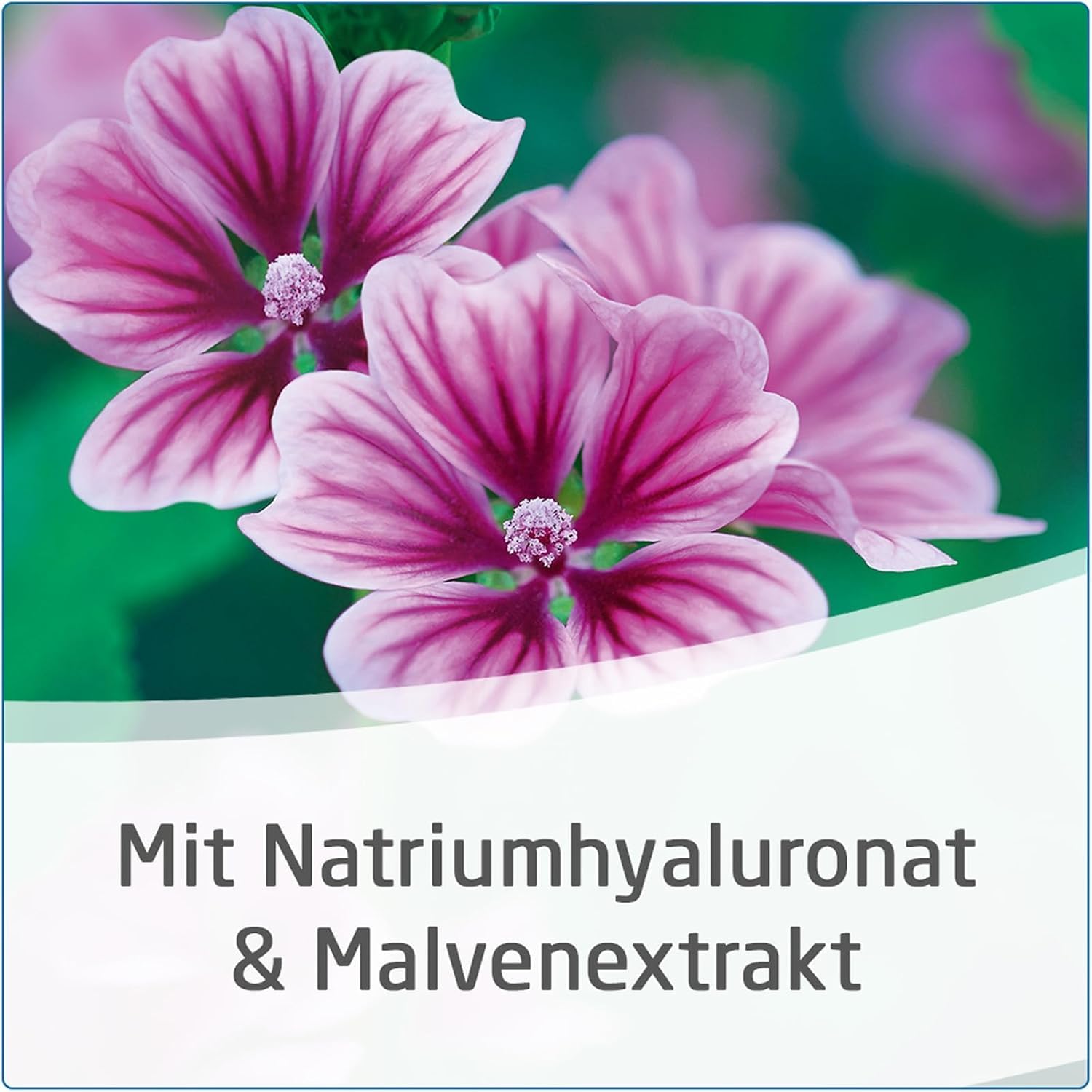 weleda-visiodoron-malva-hyaluron-augentropfen-20-x-0-4-ml-konservierungsmittelfr image 4
