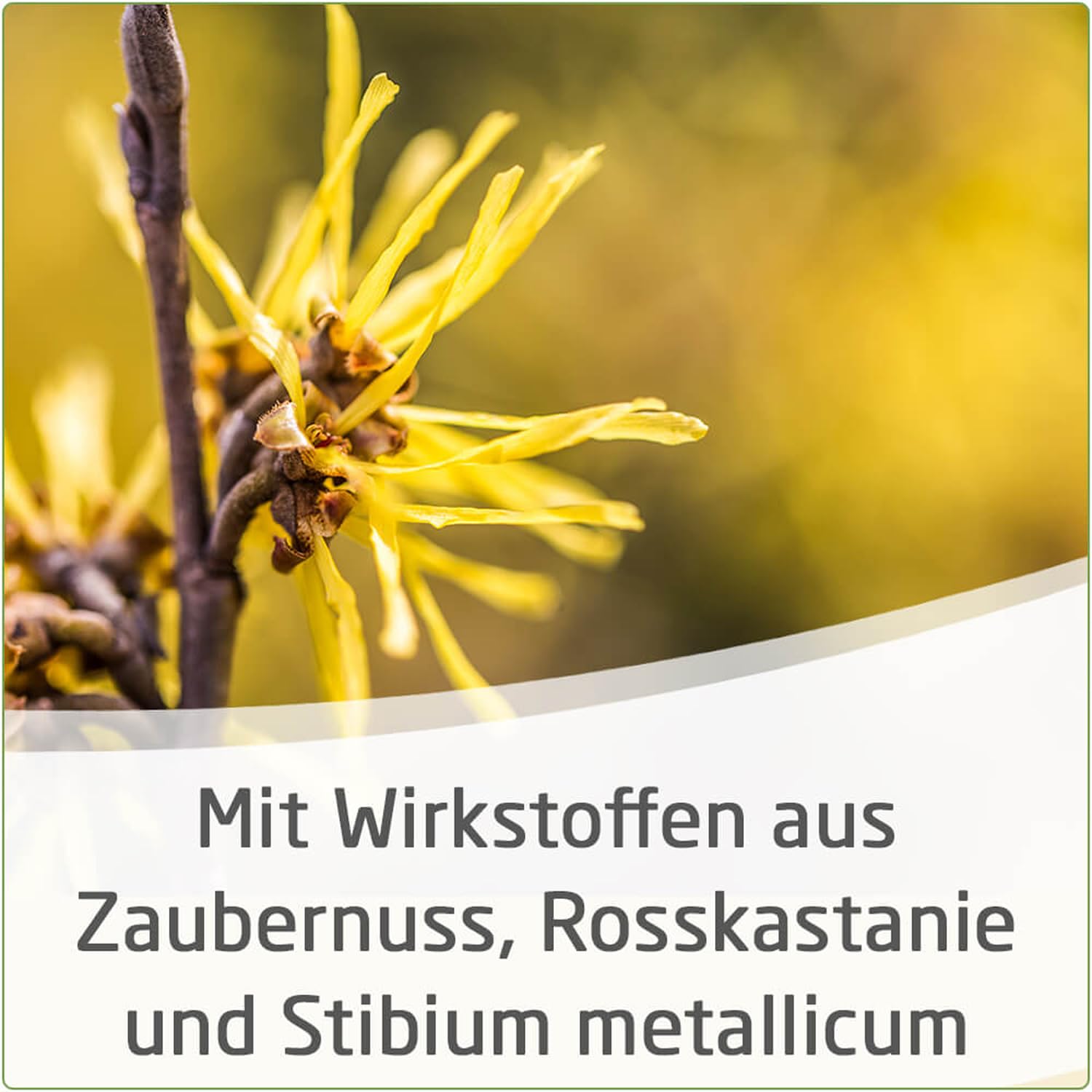 weleda-h-morrhoidalz-pfchen-mit-zaubernuss-10-st-pflanzliche-z-pfchen-mit-hamame image 3