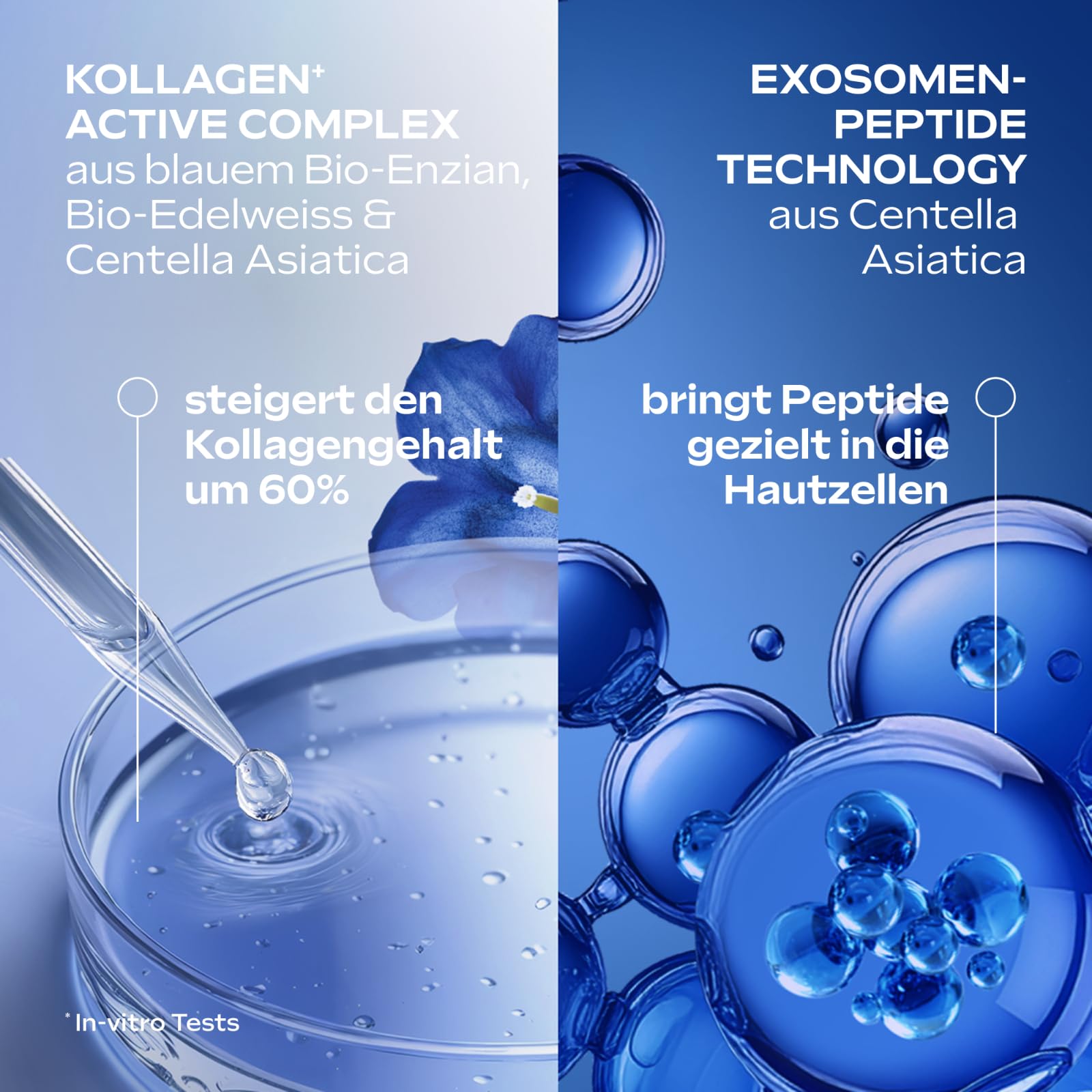 weleda-bio-exo-boost-gesichtspflege-set-anti-aging-naturkosmetik-mit-3x-collagen image 4
