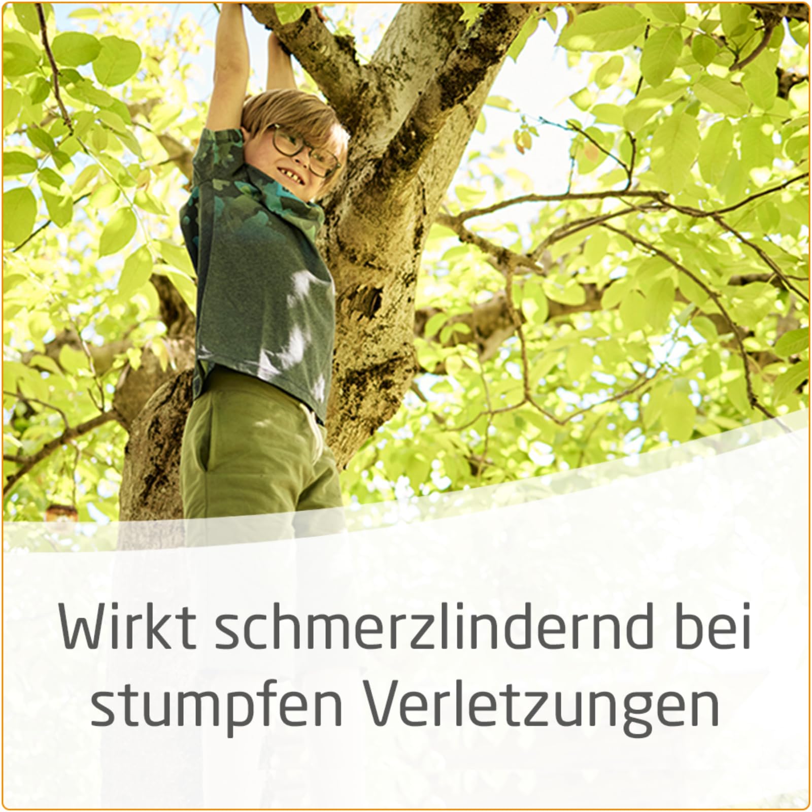 weleda-arnika-salbe-30-25-g-hochkonzentrierte-schmerzsalbe-bei-prellungen-zerrun image 3