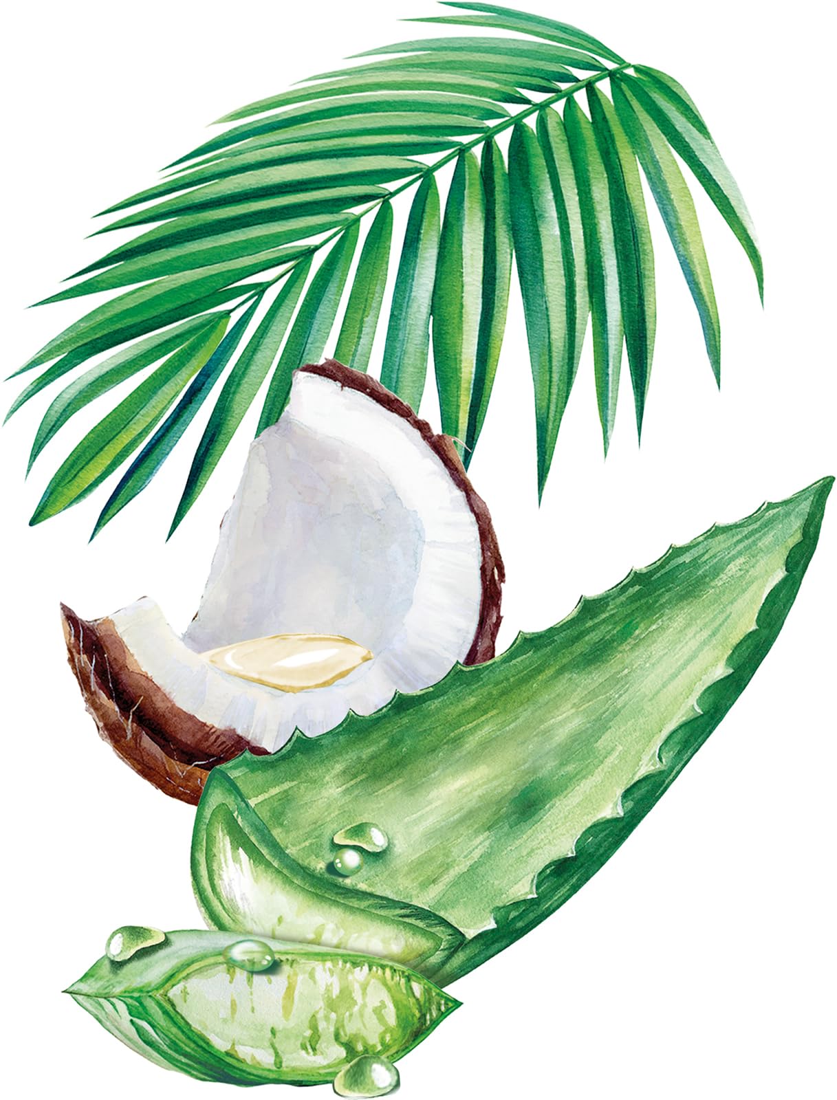 weleda-bio-festes-shampoo-feuchtigkeit-glanz-50-g-veganes-festshampoo-mit-bio-al image 6