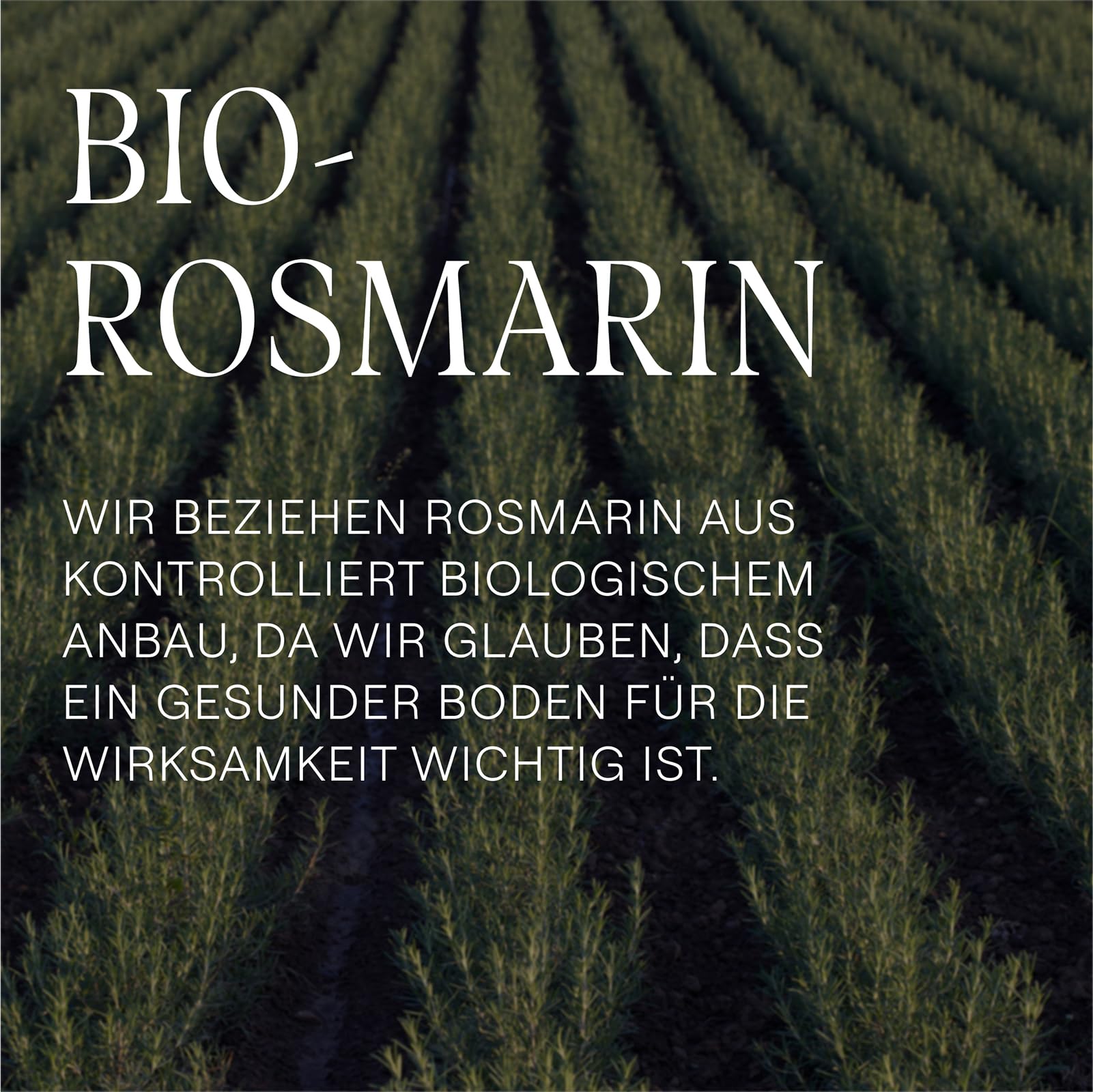 weleda-bio-rosmarin-haar-l-50-ml-veganes-intensivpflege-haarkur-l-mit-rosmarin-u image 8